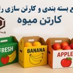 کارتن میوه|خرید و سفارش عمده