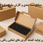 کارتن لپتاپی