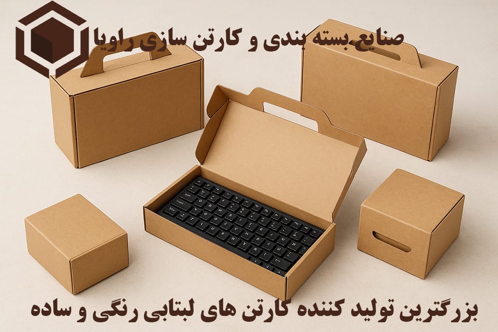 کارتن لپتاپی